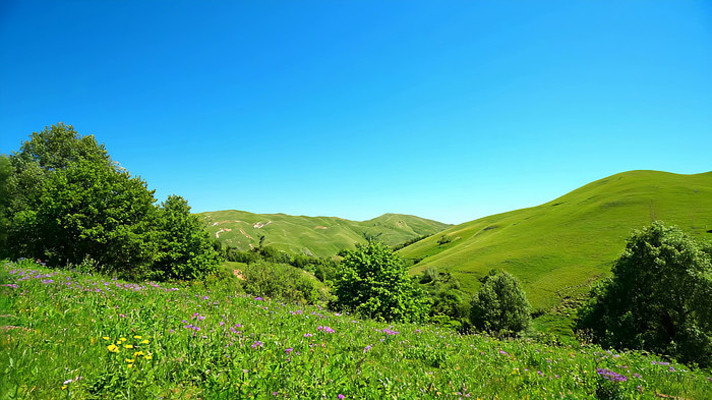 绿意盎然的草原自然风光 绿意盎然的草原自然风光