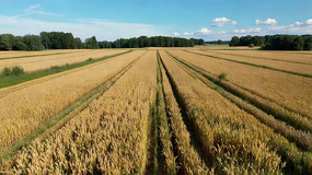 ���︩�ȫ��