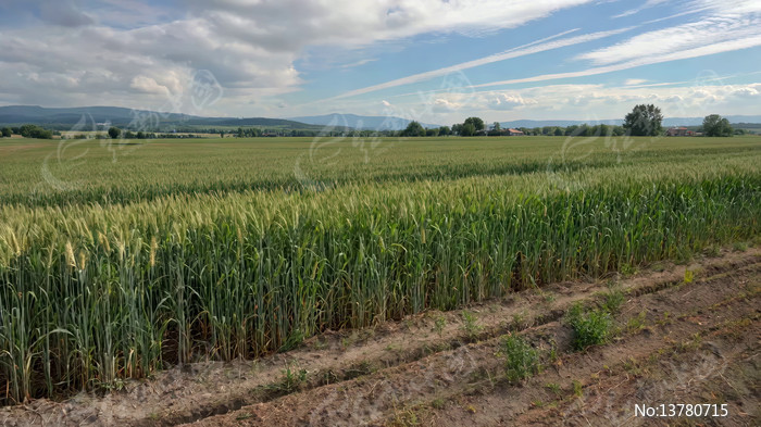 ������԰���ȫ��