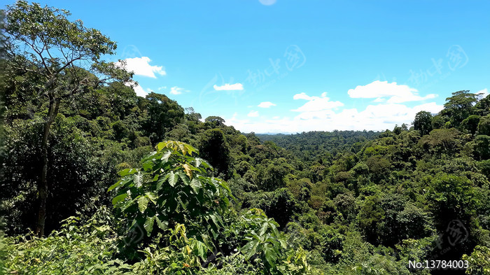 ï��ɭ��ȫ��