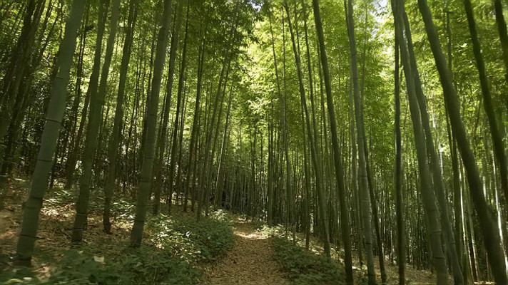 ï�������ּ�С���羰