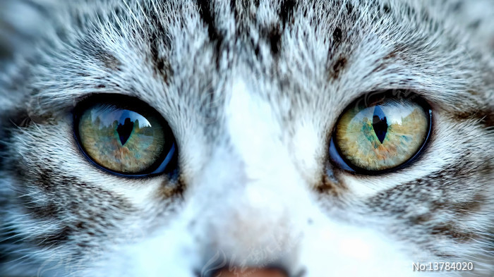 è���۾�΢����д