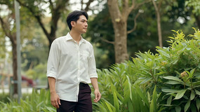 ���ӻ������ִ�����ֲ