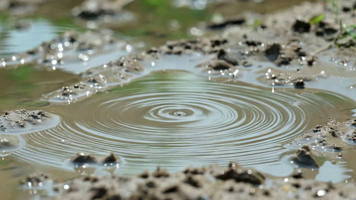 泥地水坑雨滴落水波纹画面 泥地水坑雨滴落水波纹画面