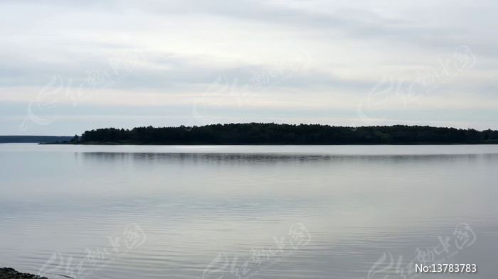 ����������Զ��ɭ�־���