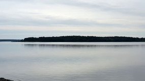 ����������Զ��ɭ�־���