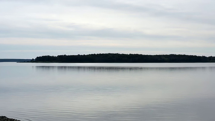 ����������Զ��ɭ�־���