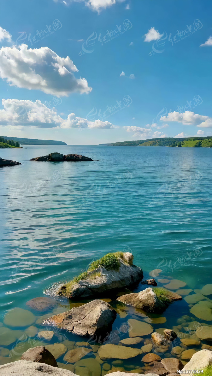 ����������Ȼ���