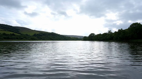 ����������Ȼ���