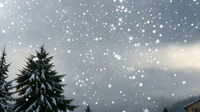 Ʈѩ�����ֳ����ز�