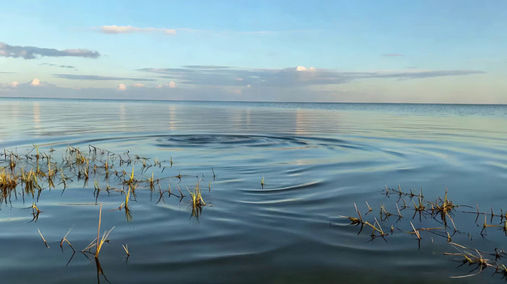 ƽ��������ˮ��ֲ��羰