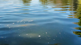 ƽ������ˮ����Ȼ����