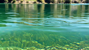 �峺��ˮˮ�漰ˮ�׾���