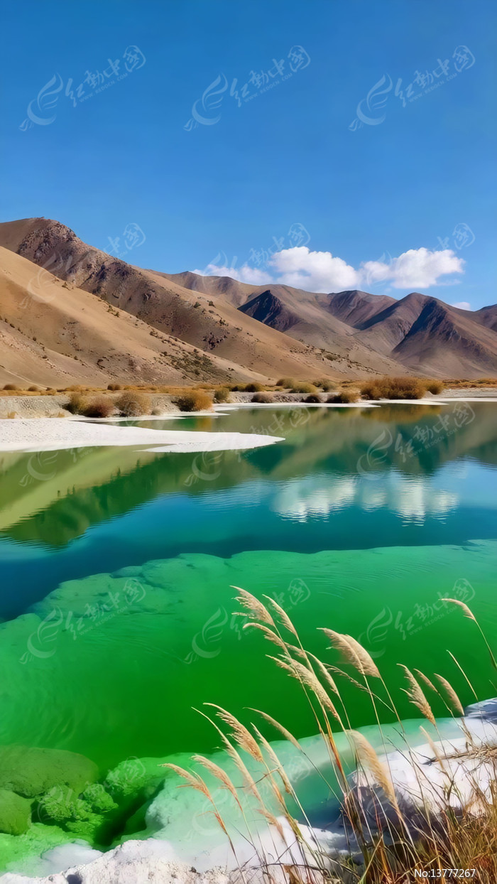 �ຣ������Ȼ���