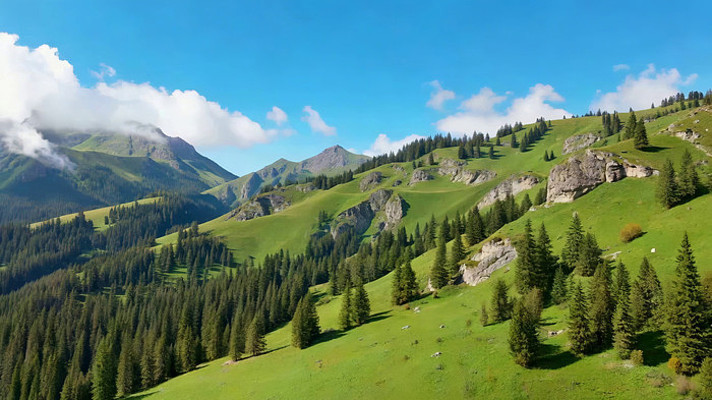 青山森林自然风光全景 青山森林自然风光全景