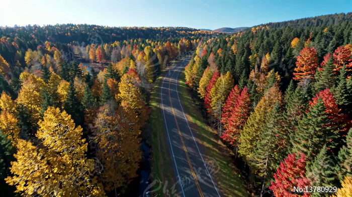 �＾ɭ�ֹ�·���