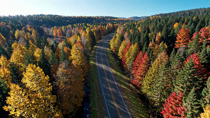 �＾ɭ�ֹ�·���