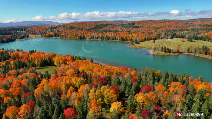 �＾ɭ�ֺ�������ȫ��