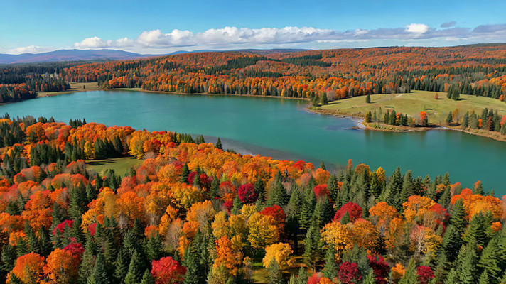 �＾ɭ�ֺ�������ȫ��