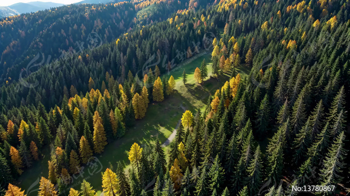 �＾ɭ�����ȫ��