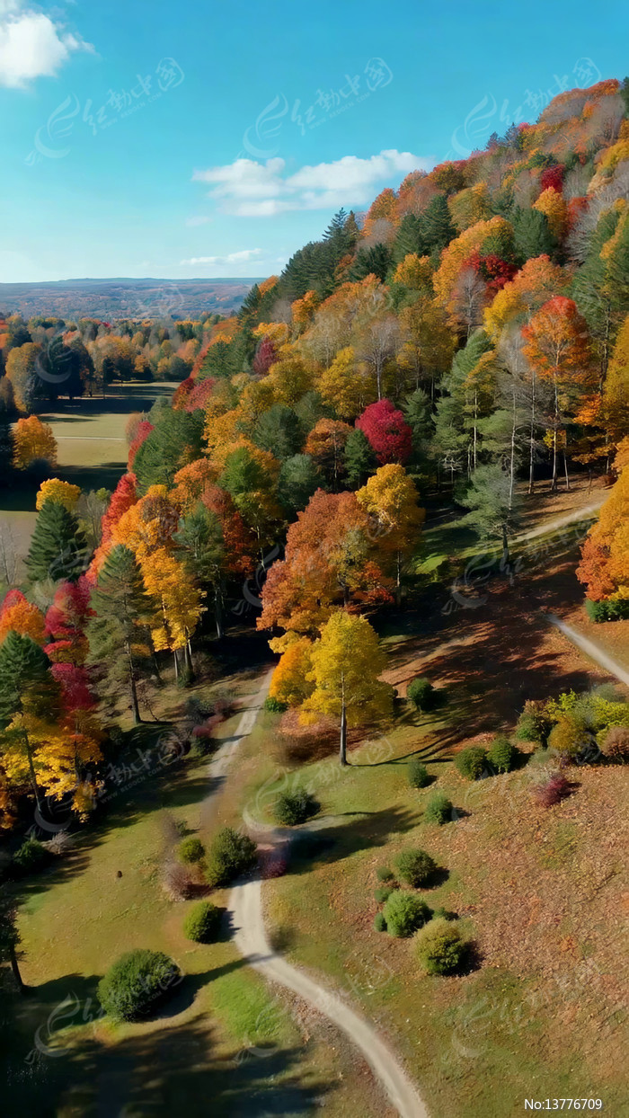 �＾ɽ�����ȫ��