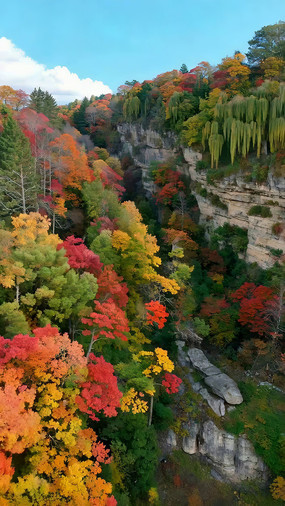 �＾ɽ��Ͽ�ȷ��