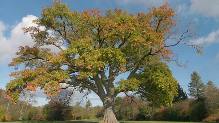 ���մ���ȫ��