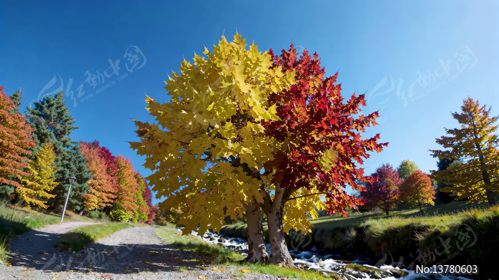 ���ն����ľ��Ϫ���羰