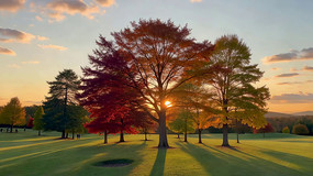 ���չ�԰��ľϦ��ȫ��