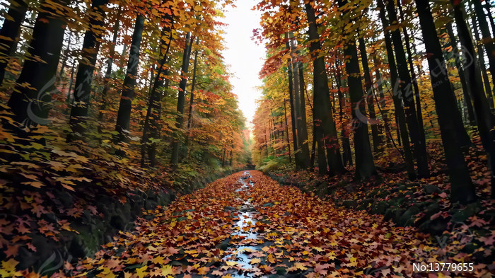 ����ɭ����ҶС������