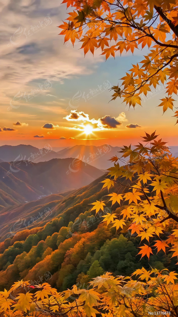 ����ɽ���ճ�����