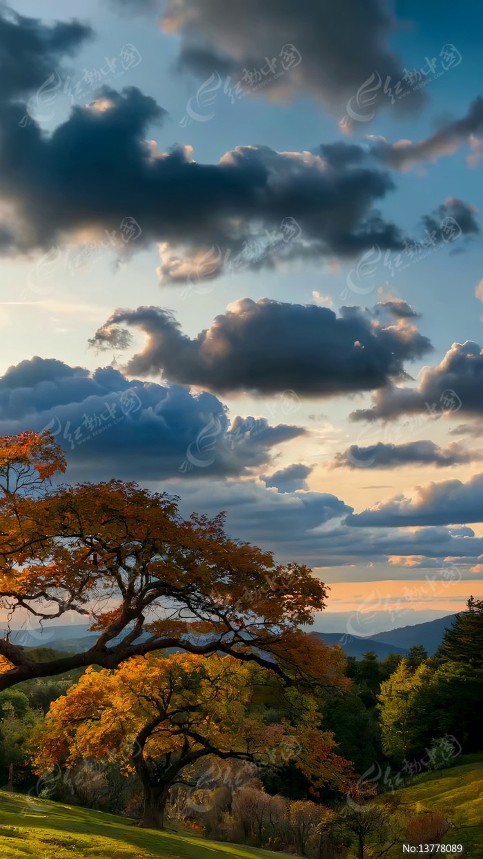 ����ɽ���������