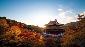 ����ɽ���еĹŽ�������