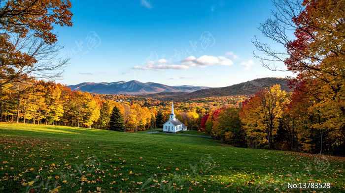 ���������еİ�ɫ����