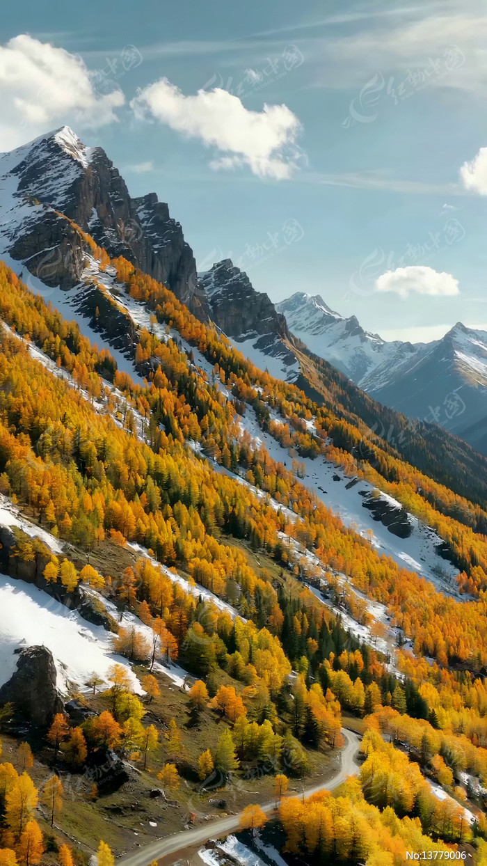 ����ѩɽɭ����Ȼ���