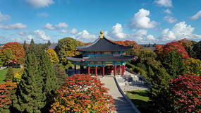 ����Ž�������ȫ��