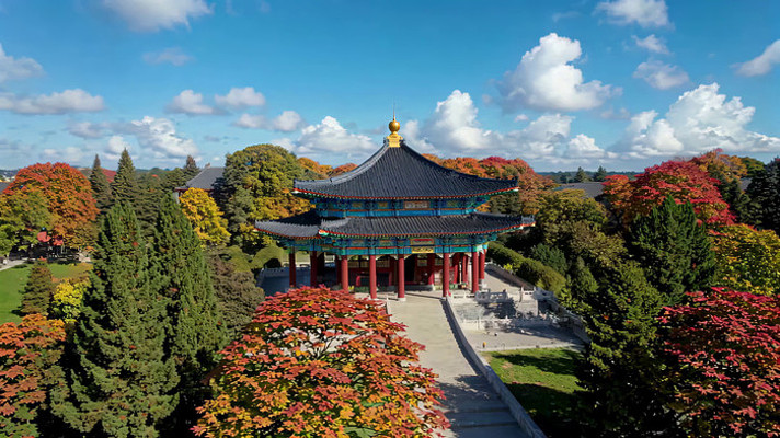 ����Ž�������ȫ��