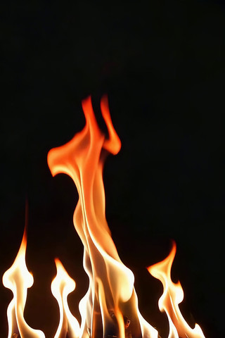 燃烧的篝火火焰素材 燃烧的篝火火焰素材