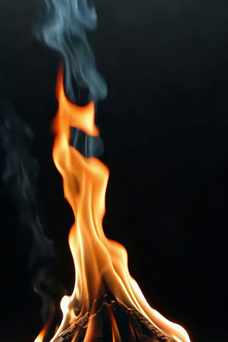 燃烧的篝火特写 燃烧的篝火特写