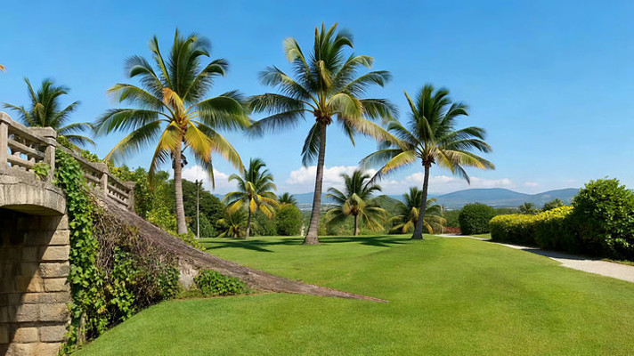 �ȴ�����ƺ�����������