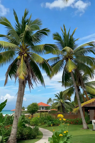 �ȴ���̲�Ե����������