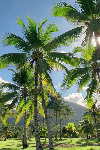 �ȴ�Ҭ����Ȼ���