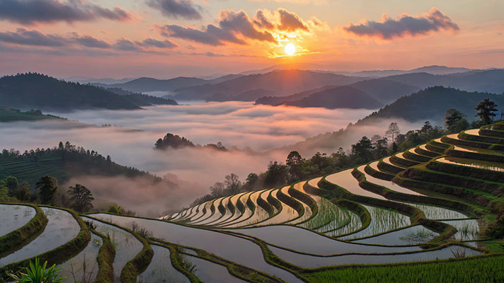 日出时分的梯田风光 日出时分的梯田风光