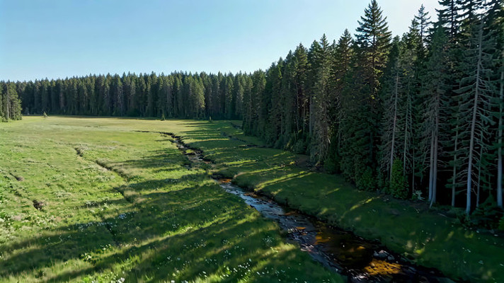 ɭ�ֱ߲ݵ�СϪ��Ȼ���