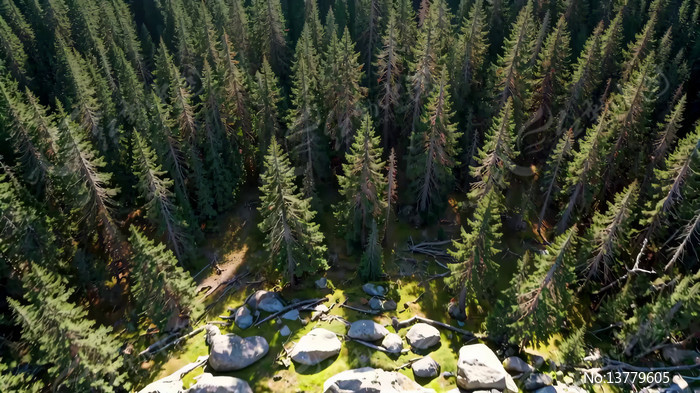 ɭ�ָ��ȫ��