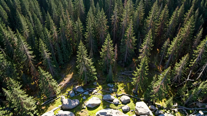 ɭ�ָ��ȫ��