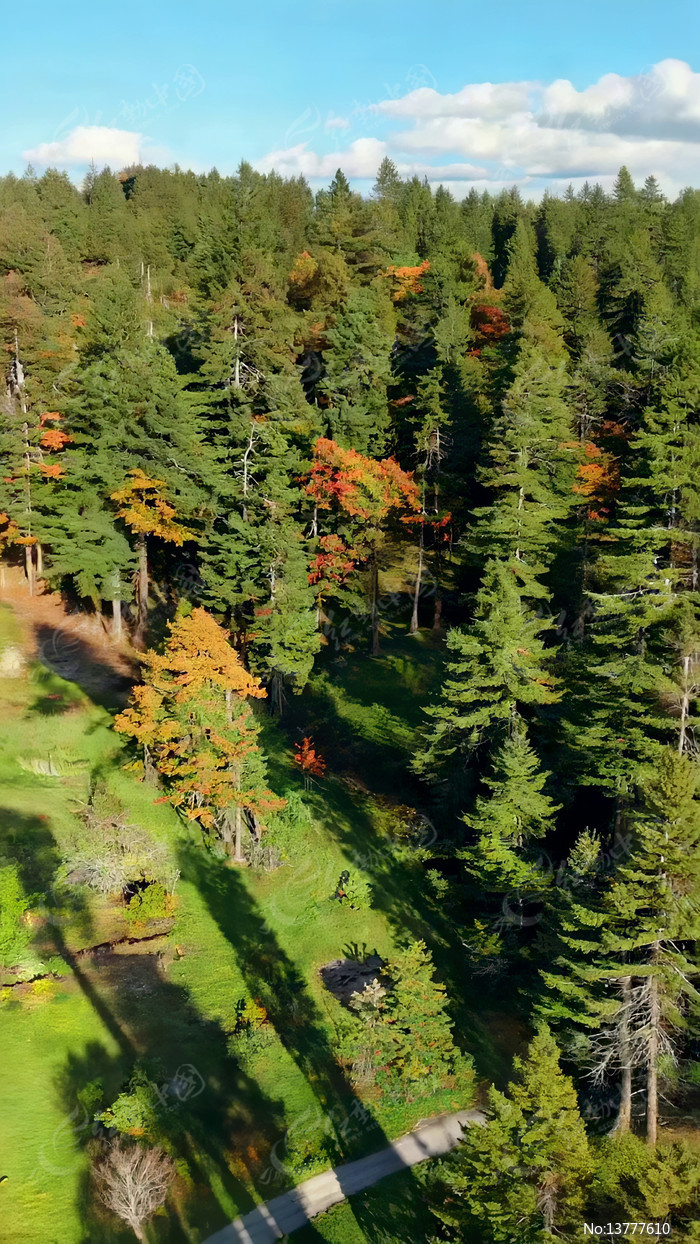 ɭ�ָ߿ո����Ȼ���