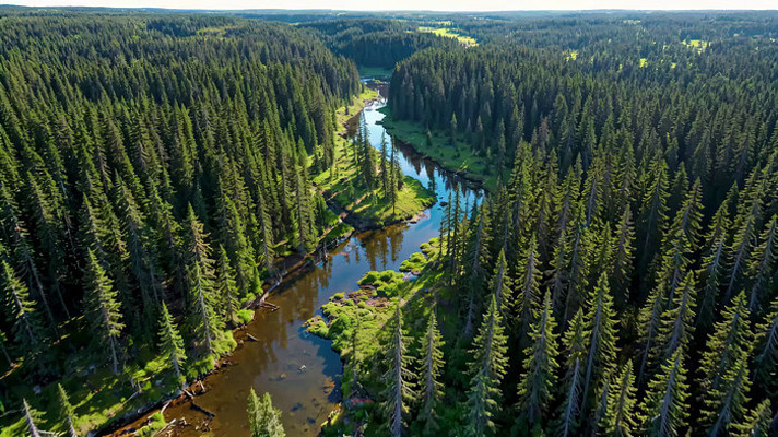 ɭ�ֺ�������ȫ��