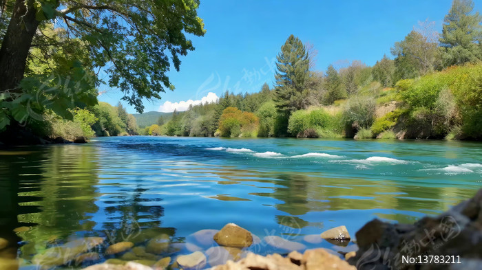 ɭ�ֺ�����Ȼ���