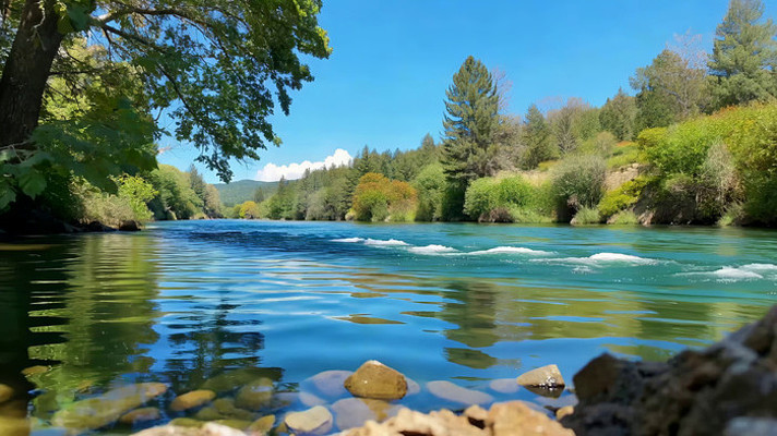 森林河流自然风光 森林河流自然风光